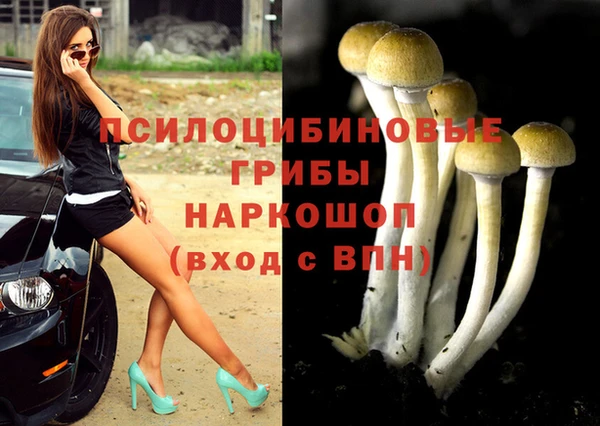 хмурый Алексеевка