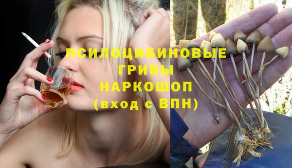 кокс Арсеньев