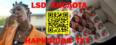 твердый Шебекино